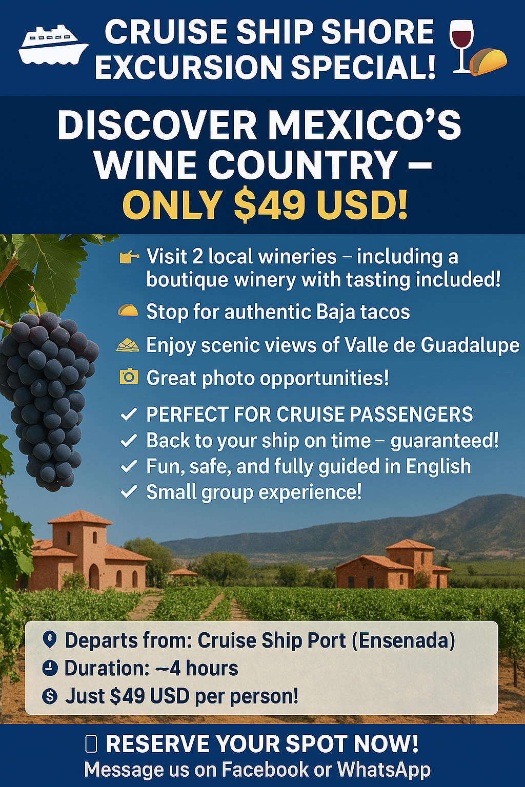 🛳️ Cruise Ship Special Shore Excursion! 🍷