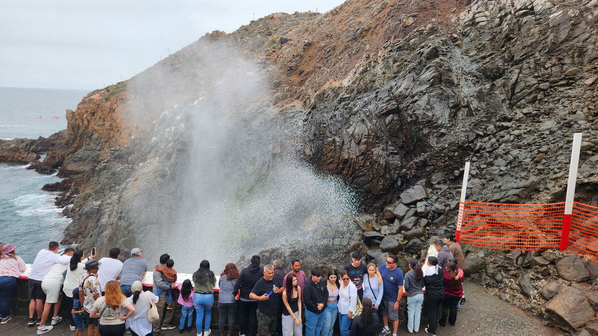 Ensenada Cruise Excursions: Wine, Food & Things to Do