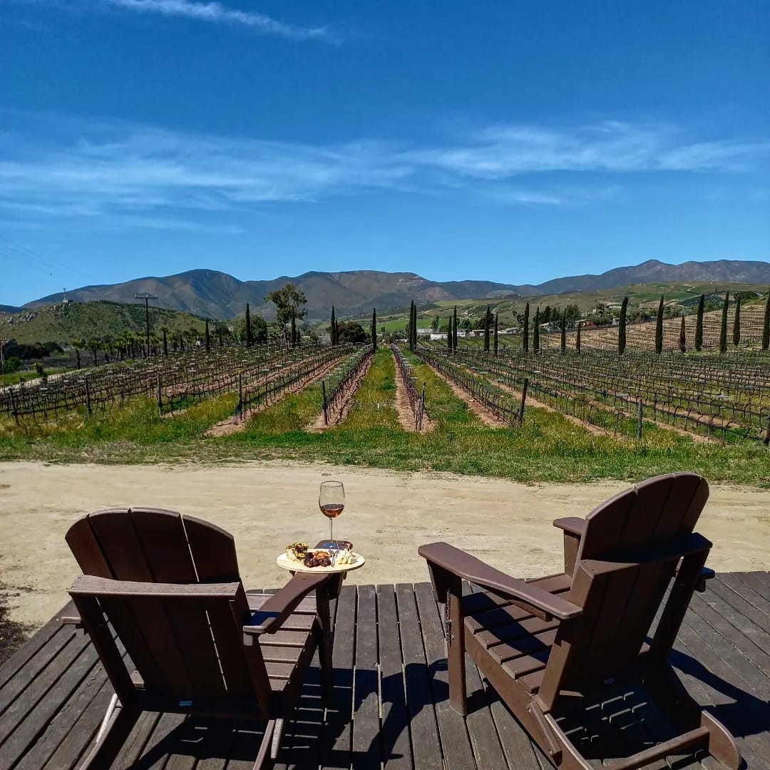 Valle de Guadalupe vs. the Old Wine Route: Which Should You Visit?