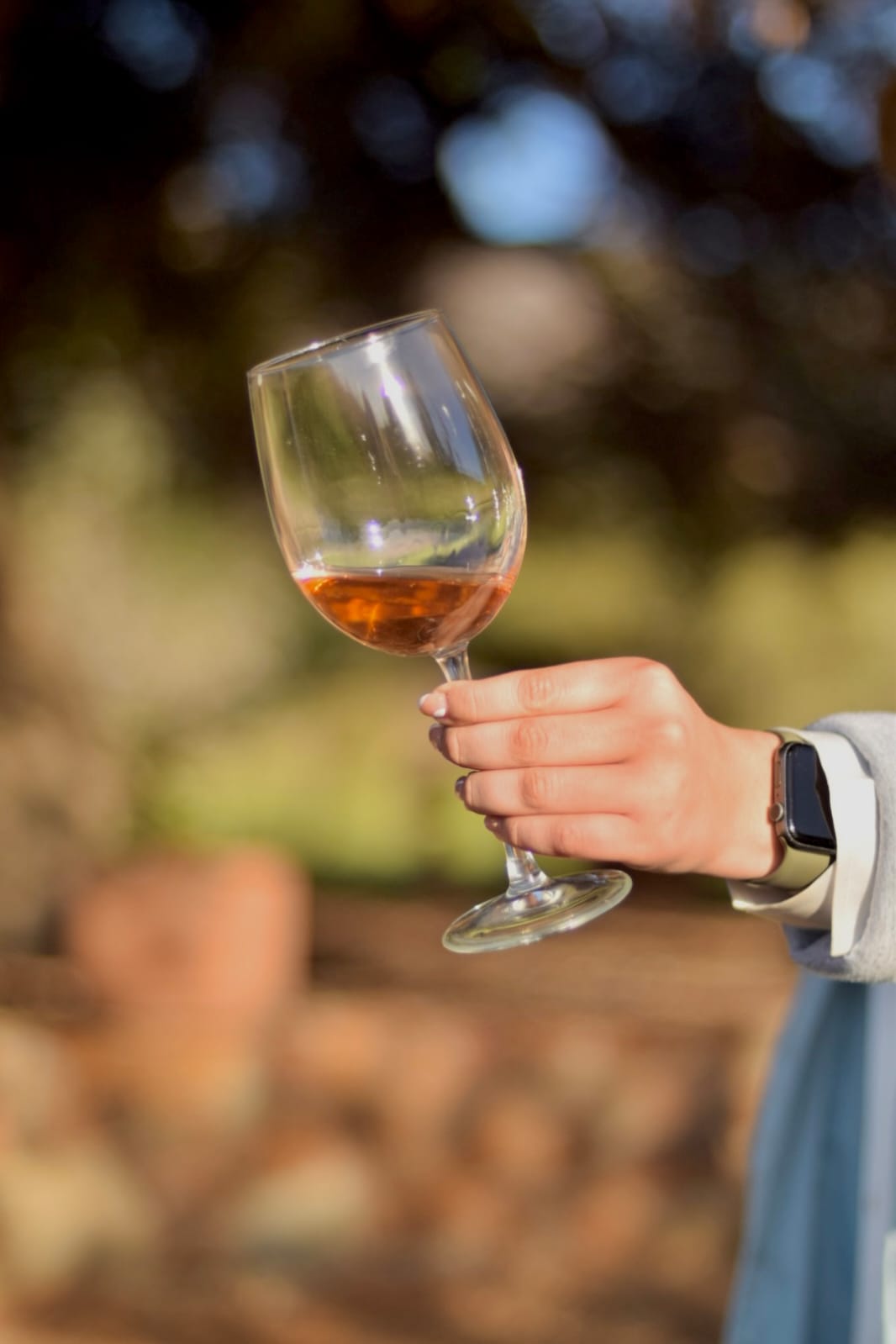 Discover Baja's Original Wine Route