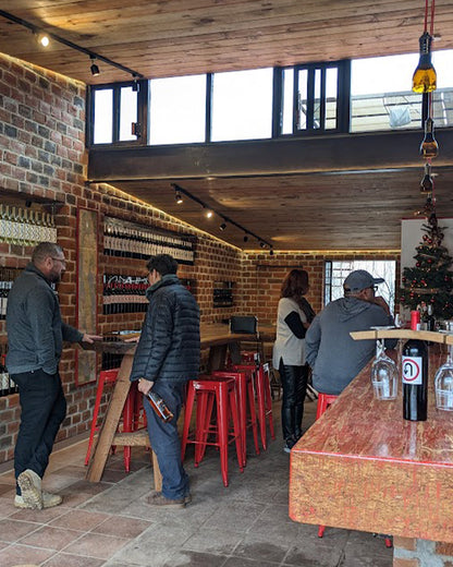 Valle de Guadalupe Wine Route 🍇🍷🍽️ 🚗