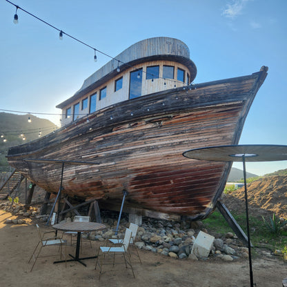 Valle de Guadalupe Wine Route 🍇🍷🍽️ 🚗